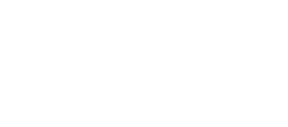 spirins-consulting.de